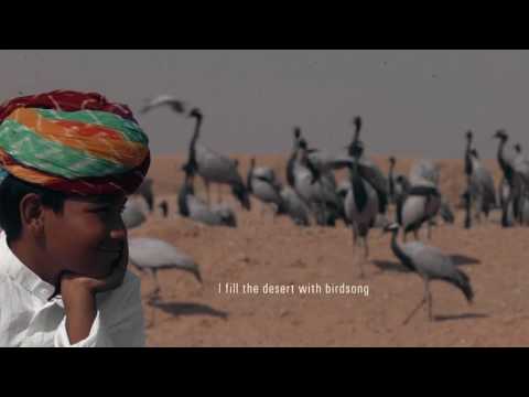 Nikhil Nagpal I matter