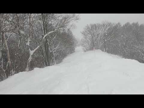 Video: 2021/12/26 野沢温泉スキー場、超上級！最大斜度37度＆狭い黒鞍コースのパウダーを滑ってみました。