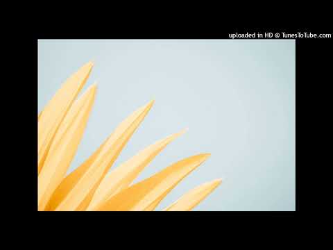 Phonique feat. Erlend Oye - For The Time Being (Simon Vuarambon Edit)