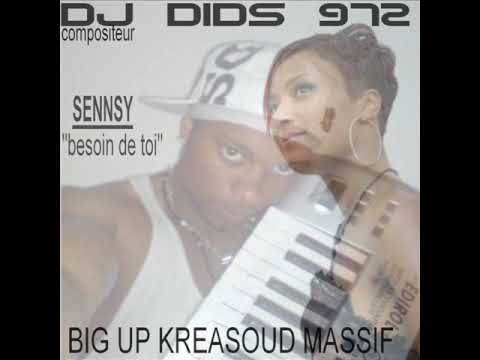 DJ DIDS 972 PRESENTE besoin de toi ''SENNSY''