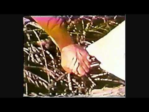 Carpenters Medley on Tom Jones London Bridge Special