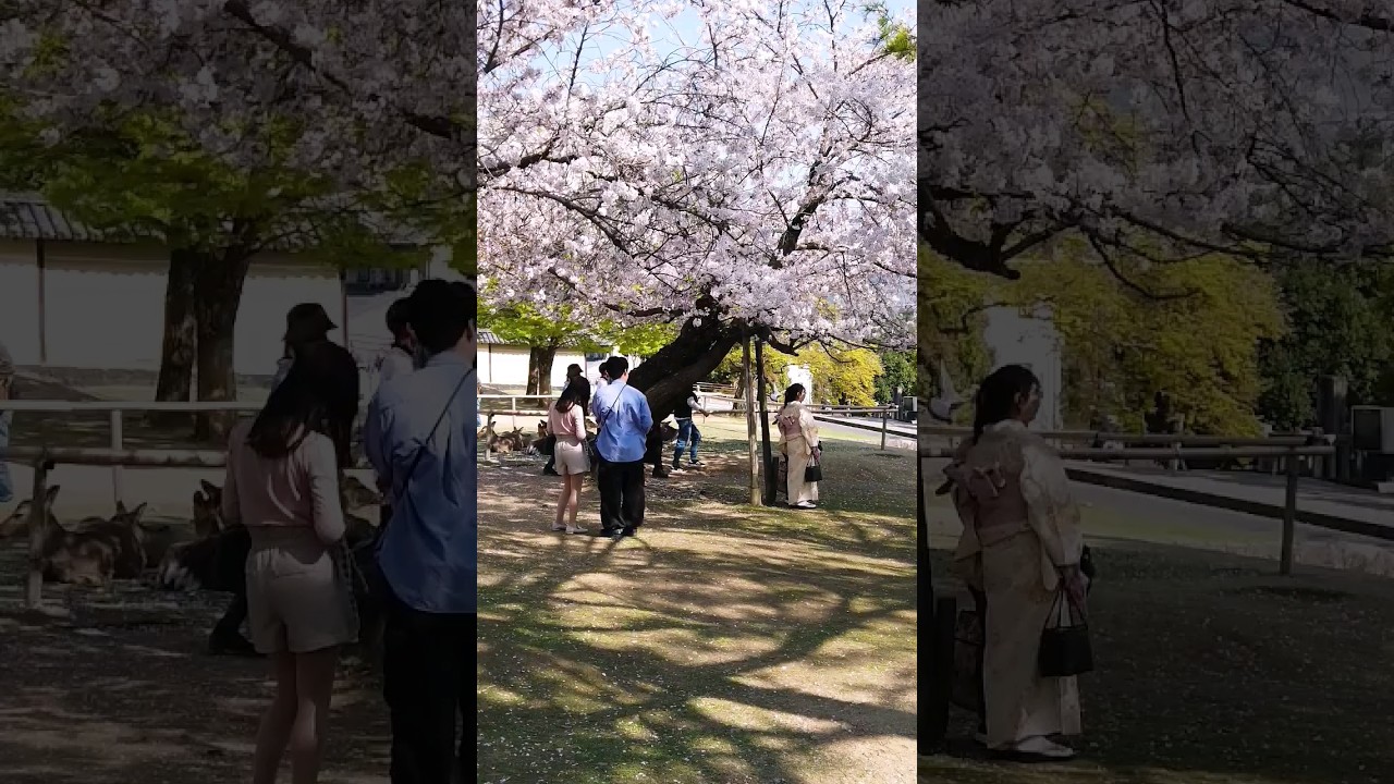 YouTube Short thumbnail