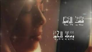 كلمات اغنية شفت الرسول سهر ابو شروف