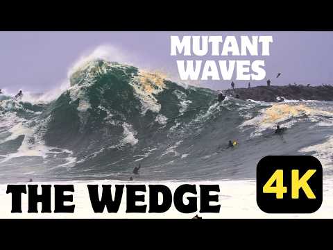 THE WEDGE - MUTANT WAVES IN 4K | NEWPORT BEACH CARNAGE!