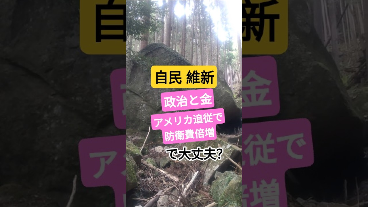 【衆院選】自民・維新の連立政権「政治と金の問題」「アメリカに物申さず防衛費倍増」で大丈夫？ #shorts