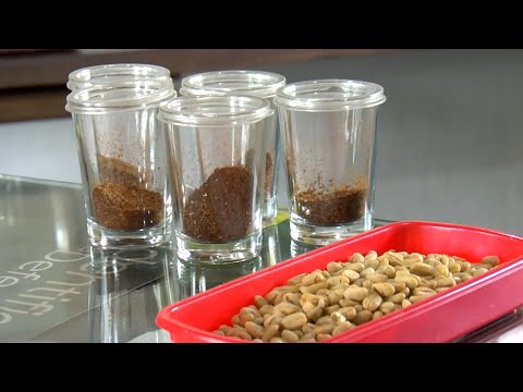 CAFÉ ESPECIAL CAOLOMBIANO CAP 2  FINCA MANANTIALES DEL FRONTINO   CAICEDONIA   VALLE