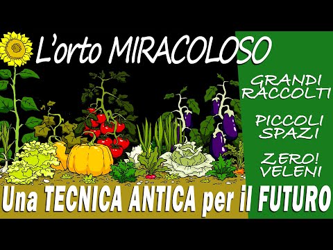 , title : 'L'ORTO MIRACOLOSO | Un METODO ANTICO per RACCOLTI ABBONDANTI coltivando PICCOLI SPAZI e ZERO VELENI'