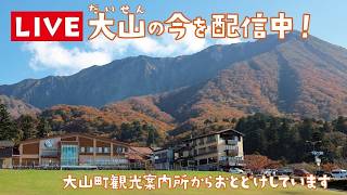 【LIVE配信中】大山（だいせん）の今をお届け！ live webcam