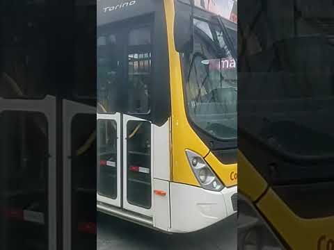 #busologia coletivo transporte vídeo especial de 500 inscritos 🙏❤️