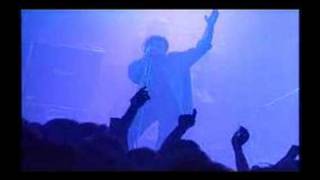 Timoria - Senza Vento (Viaggio senza vento tour 1995)