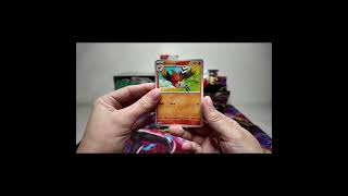 Daily Pack Openings Of Perfect Order Day38 #viral #pokemon #trending