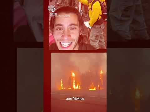 🚨 MEXICANOS en los incendios de Los Ángeles ¡Descubre la verdad!
