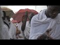 Hajj journey 2019 Documentary | 4K