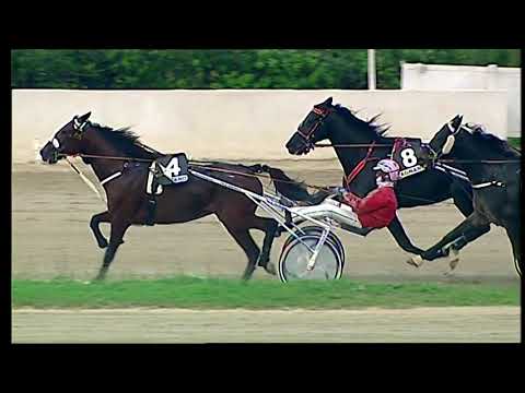 Napoli Trotto 12/11/2021 - 6ª corsa