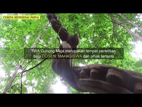 Taman Wisata Alam (TWA) Gunung Meja - Hutan di Tengah Kota Manokwari Provinsi Papua Barat