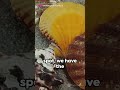Top 5 Titans Of Time Longest Living Animal