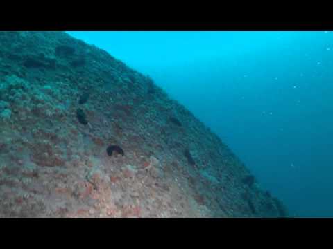 20130303_Plomin_Kalliopi Bow wreck_Tehnical Scuba Diving