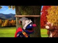 Sesame Street The Acorn