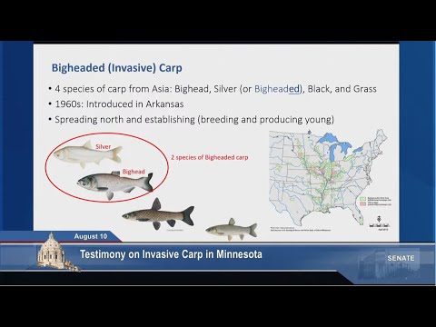 Committee on Environment and Natural Resources Finance - 08/10/2022