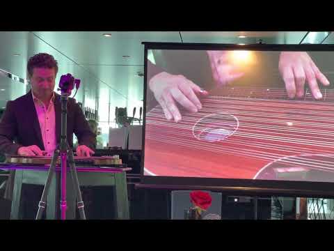Tomy Temmerson zither performance