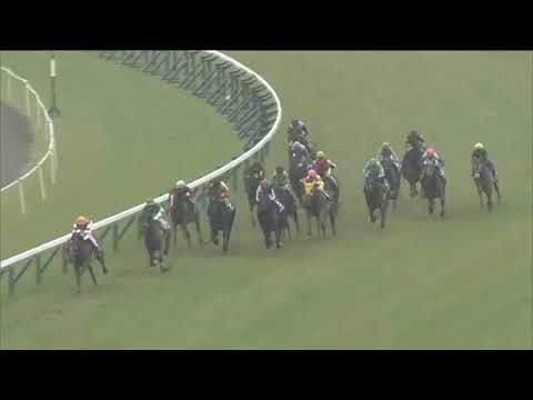 2020 JRA HANSHIN The Osaka-hamburg Cup