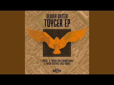 Toyger (Mees Salomé Remix)