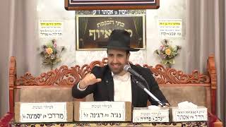 הרב מאיר אליהו  •  פרשת ויצא תשפ'ו  •  שידוכי הבנים והבנות (בית הכנסת מוסאיוף - ערוץ חדש) - התמונה מוצגת ישירות מתוך אתר האינטרנט יוטיוב. זכויות היוצרים בתמונה שייכות ליוצרה. קישור קרדיט למקור התוכן נמצא בתוך דף הסרטון