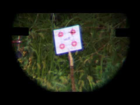 Kral Puncher Jumbo .22 PCP at 50 metres