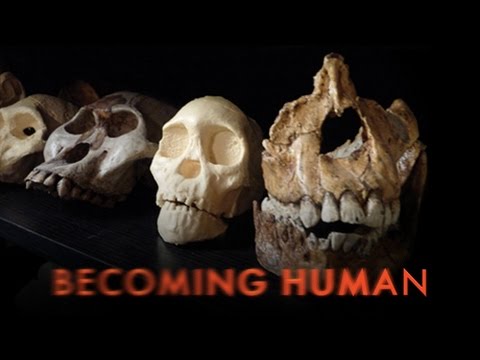 Becoming Human First Steps - Full Documentary
