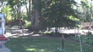 preview picture of video 'Newtown CT Landscape Designer | Landscape Design Ideas | Landscaping Ideas'