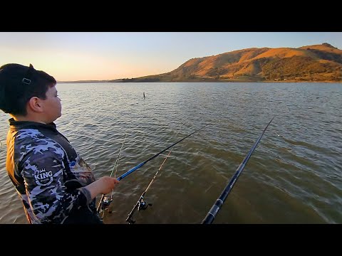 ESSA FOI INESQUECÍVEL! MUITO PEIXE E MUITA FISGADA BOA! PESCA COM CAMARÃO NO LAGO DE FURNAS