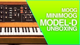 Moog Minimoog Model D | Quick Unboxing