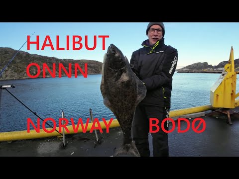 Bodo Norway Sea Fishing with the Priest and Baker