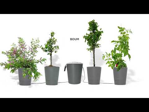 Das Boum Bewässerungssystem. So funktioniert's.