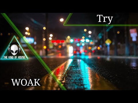 WOAK - Try (Franccz Remix)