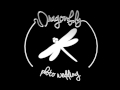 Dragonfly 3D