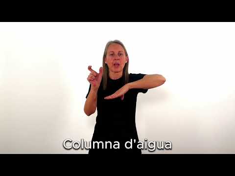 Columna d'aigua - LSC