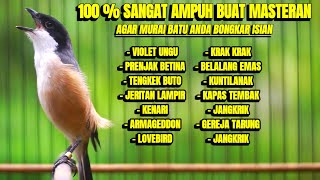 Download lagu SUARA CENDET GACOR MATERI KEKINIAN COCOK BUAT MASTERAN CENDET ANDA mp3 Download lagu SUARA CENDET GACOR MATERI KEKINIAN COCOK BUAT MASTERAN CENDET ANDA mp3