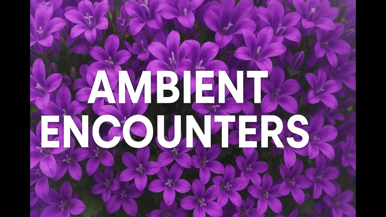 Ambient Encounters, April 27  2026