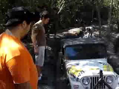 Trilha cachorro Louco