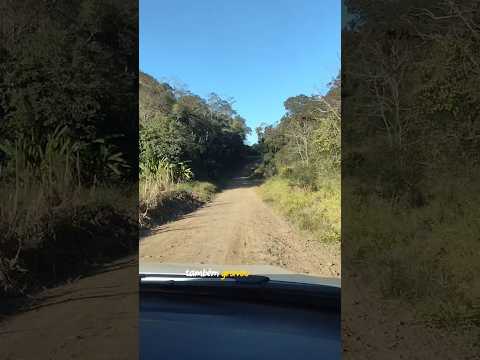 interior de Turvo PR, mais um belo cenário das estradas rurais