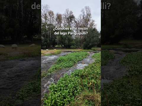 ¿Conoces este rincón del lago Panguipulli? 🌿