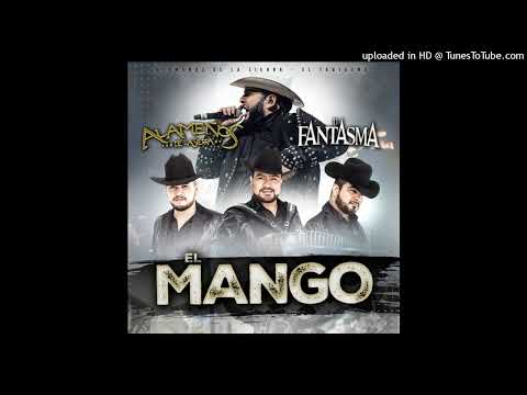 Alameños de la Sierra y El Fantasma - El Mango