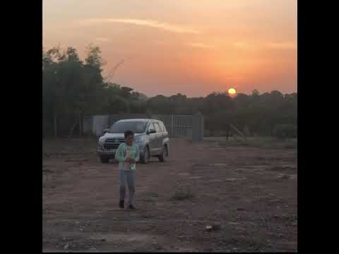 Mysunnova