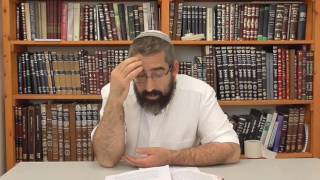 פרשת אמור: פרשת אמור ויום העצמאות