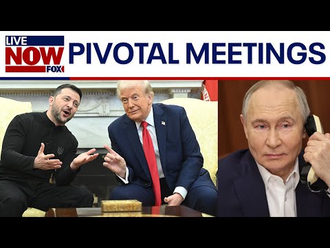 Video | Trump, Putin plan Hungary meeting as Zelenskyy visits White House