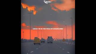 Download lagu Dandelions (new whatsapp status/story wa)hope you enjoy it.... request song in comments 👇👇 mp3