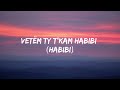 Dj Gimi-o x habibi (lyrics)
