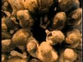 I WONDER  BLIND MELON OFFICIAL VIDEO